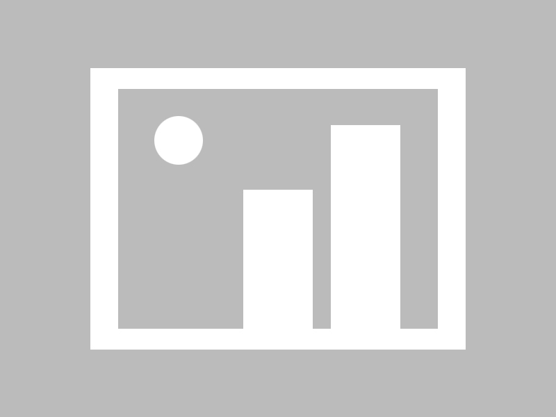 异乡茶韵绽放长沙，外来者奇迹般地征服了本地茶界