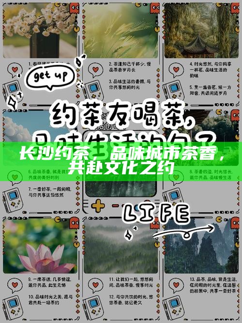 长沙约茶，品味城市茶香，共赴文化之约